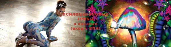 ГАЛЛЮЦИНОГЕННЫЕ ГРИБЫ Покачи