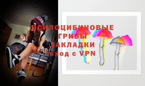 ALPHA-PVP Покров