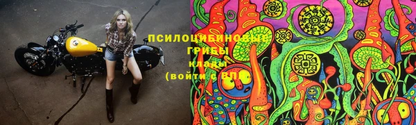 ГАЛЛЮЦИНОГЕННЫЕ ГРИБЫ Покачи