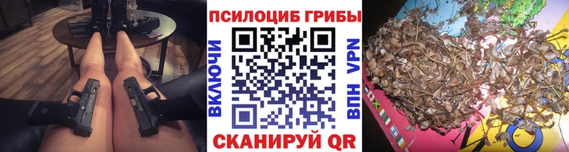 Галлюциногенные грибы GOLDEN TEACHER  Купить закладки  Берёзовка 